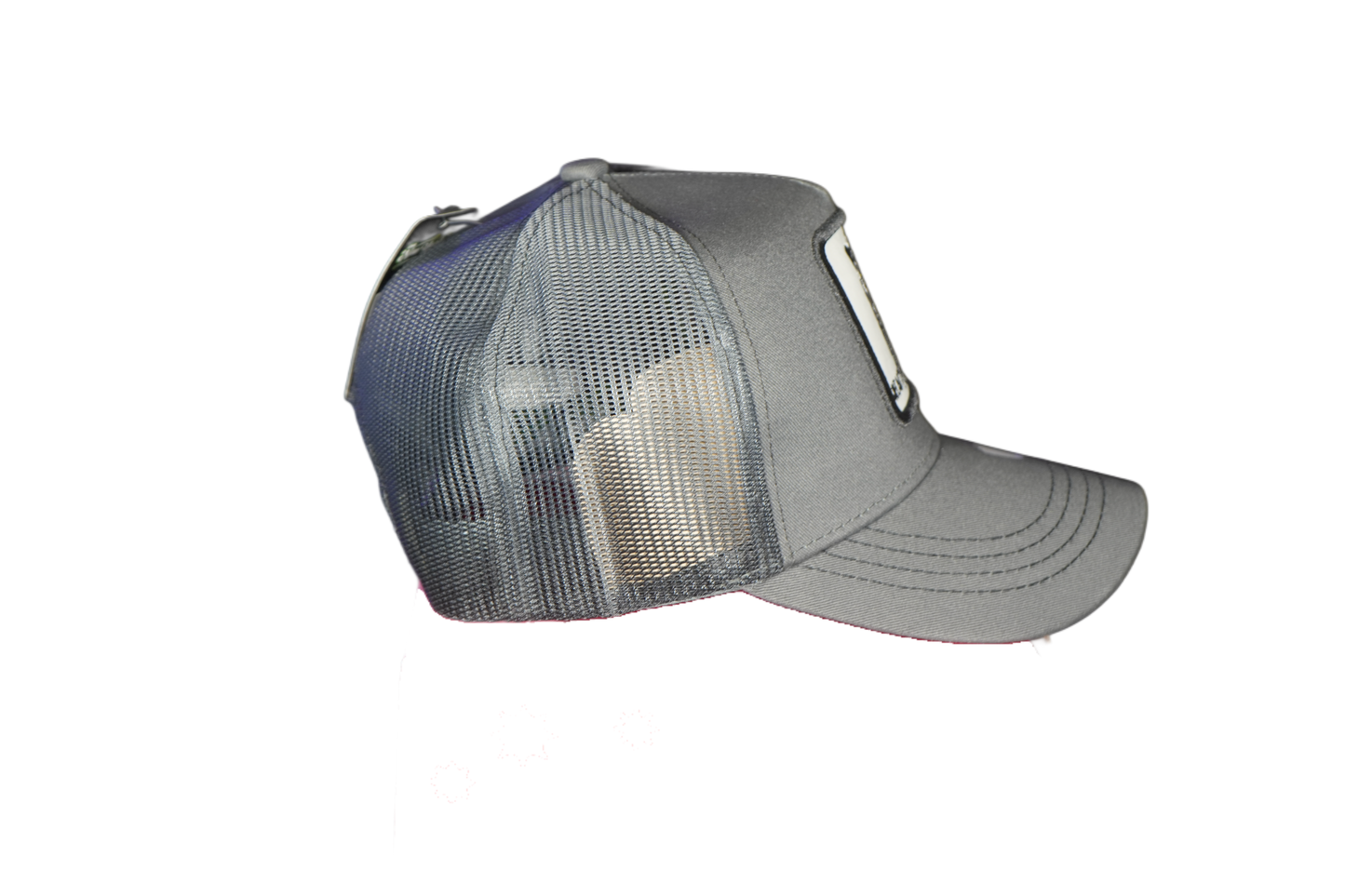 Gorra Baseball Animal Print