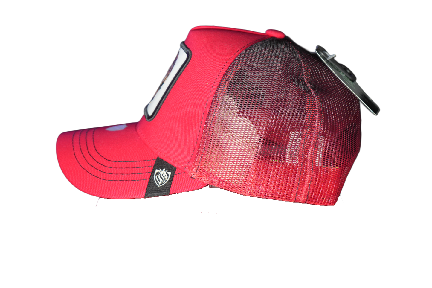 Gorra Baseball Animal Print