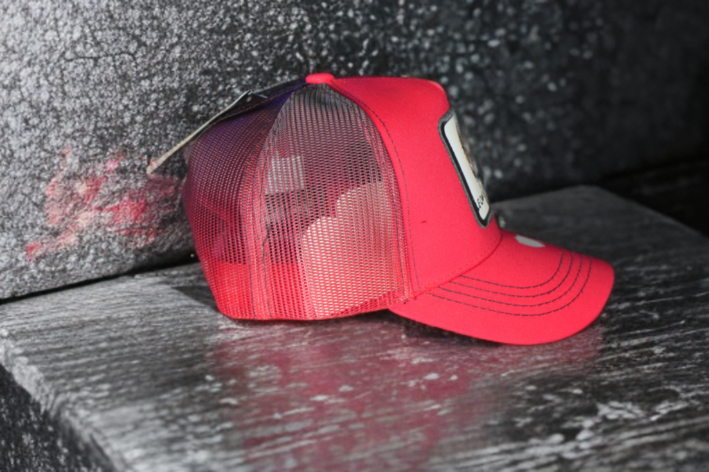 Gorra Baseball Animal Print