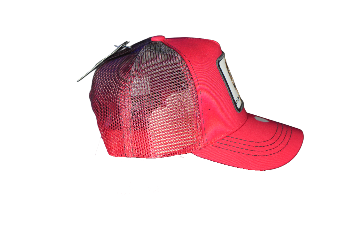 Gorra Baseball Animal Print