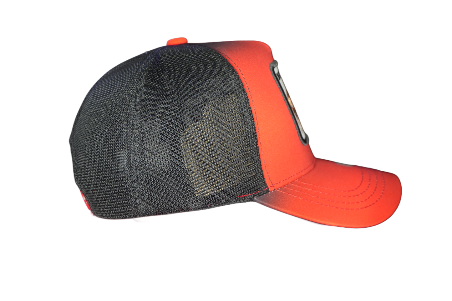 Gorra Baseball Animal Print